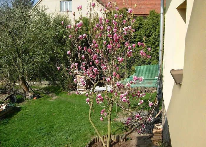 Apartma U Hovorku Apartment Zupanovice