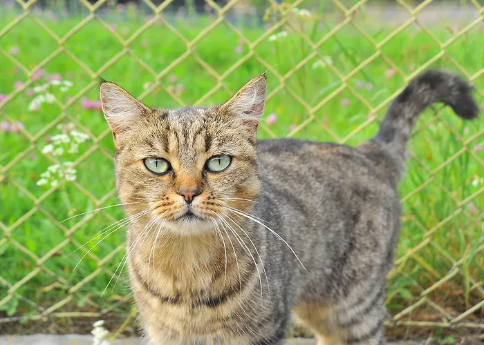 Apartma U Hovorku Zupanovice