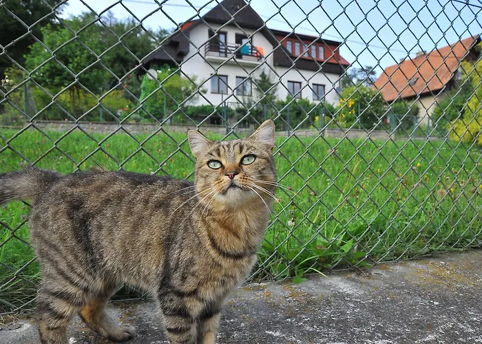 Apartment Apartma U Hovorku Zupanovice